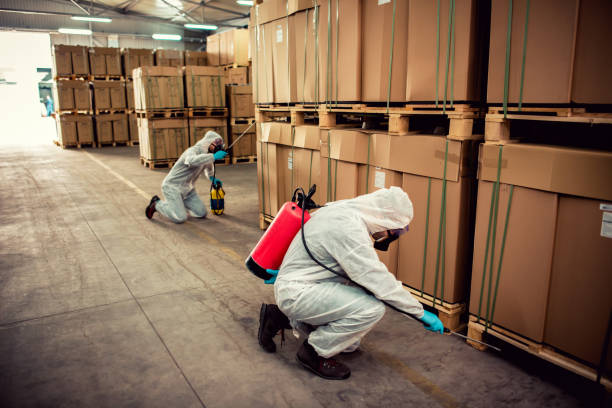 Best Wasp Removal Services  in Cumberland, IN