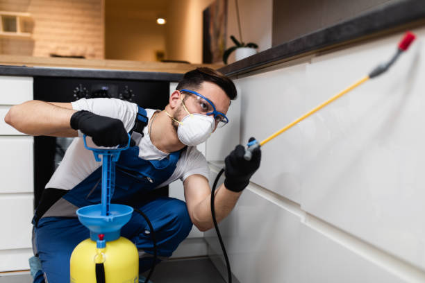 Best Pest Removal Services  in Cumberland, IN