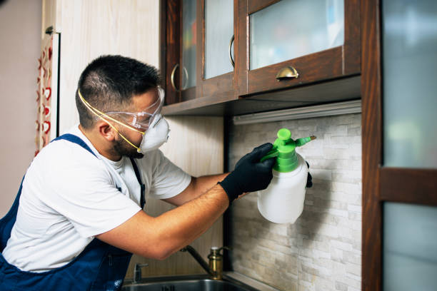 Best Affordable Pest Control Services  in Cumberland, IN