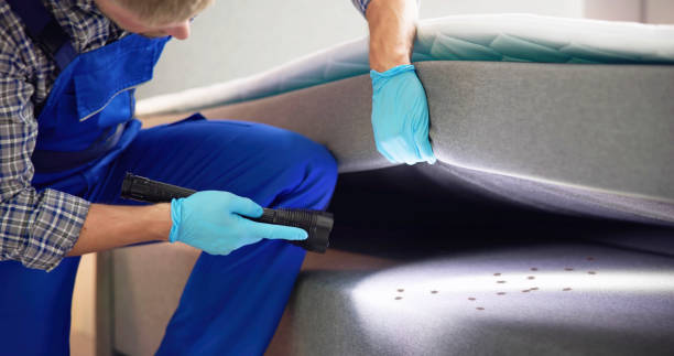 Best Pest Removal Services  in Cumberland, IN
